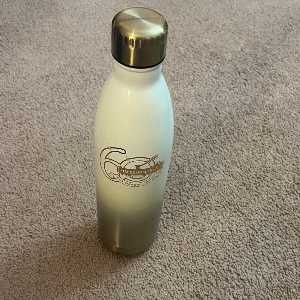 Silver Dollar City Water Bottle